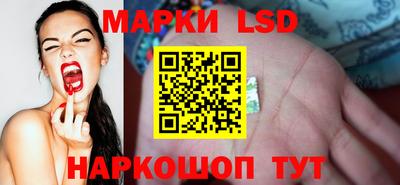 прущие крисы Будённовск