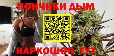 прущие крисы Будённовск