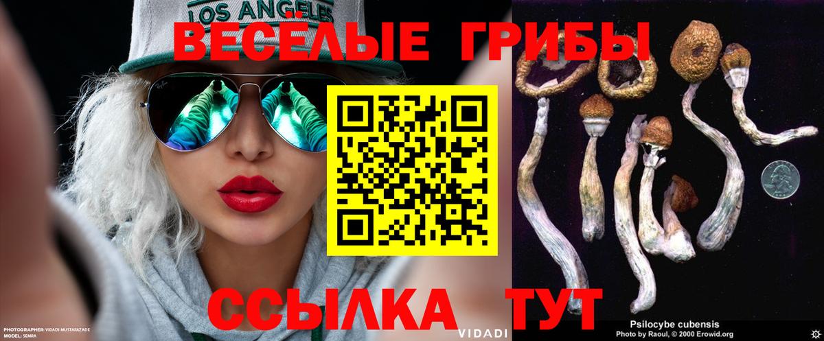 Галлюциногенные грибы ЛСД Печора