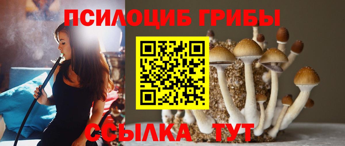 Псилоцибиновые грибы мухоморы  Вход с VPN  Печора 